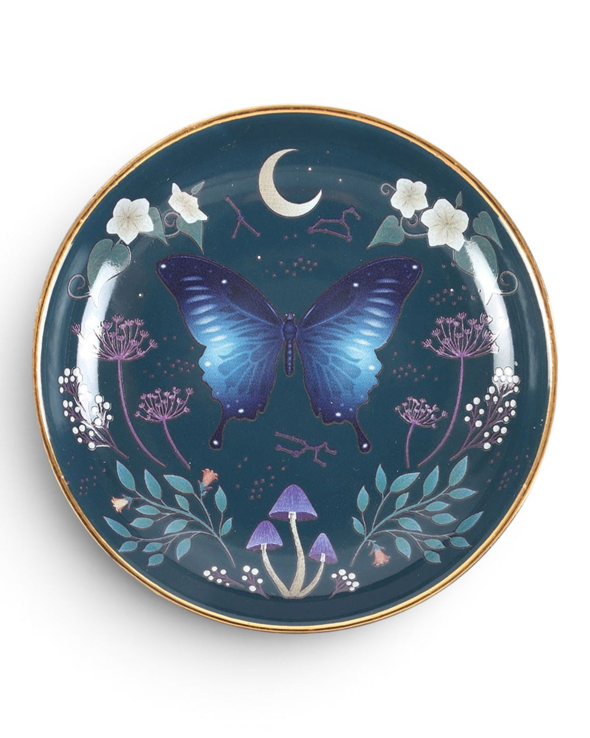Round Midnight Moth Trinket Dish NEW!