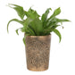 Green Man Bronze Terracotta Plant Pot by Lisa Parker NEW!