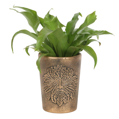 Green Man Bronze Terracotta Plant Pot by Lisa Parker NEW!