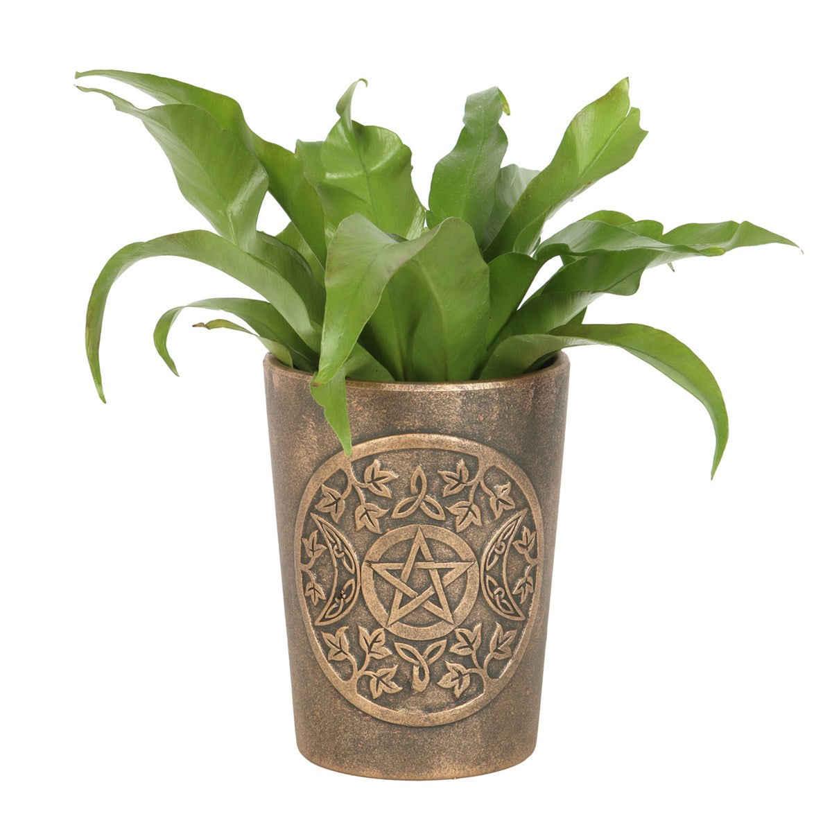 Triple Moon Bronze Terracotta Plant Pot by Lisa Parker NEW!