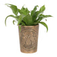 Moon Shadows Bronze Terracotta Plant Pot by Lisa Parker NEW!