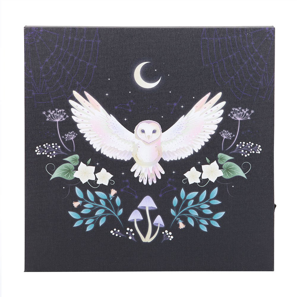 Night Owl Light Up Canvas Picture NEW!