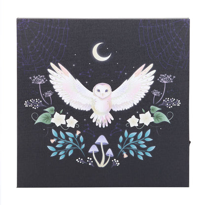 Night Owl Light Up Canvas Picture NEW!
