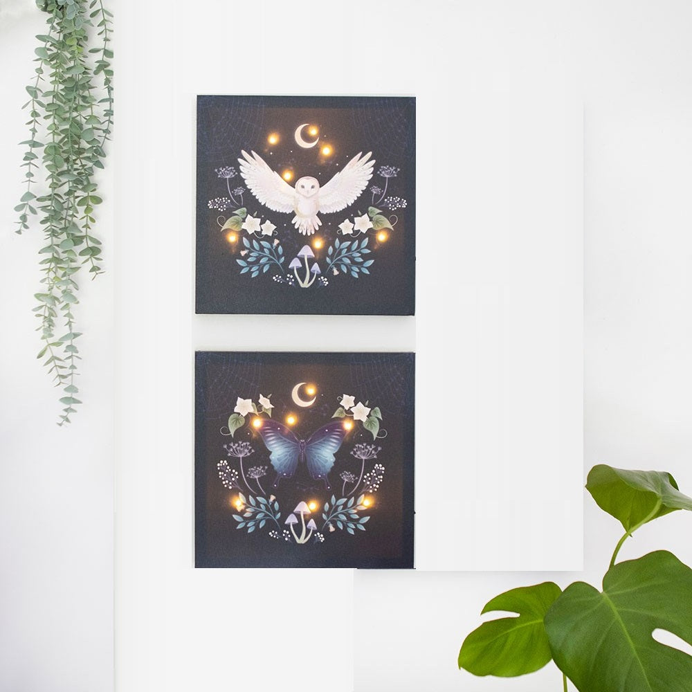 Night Owl Light Up Canvas Picture NEW!