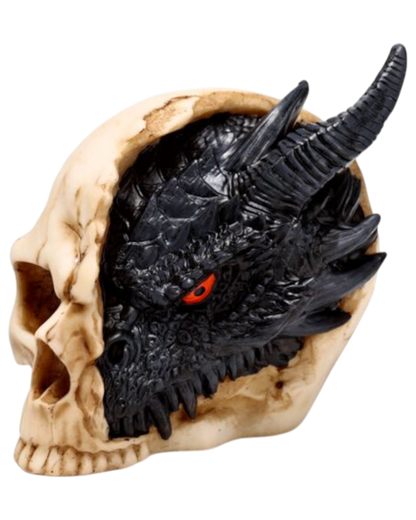 Shadows of Darkness Black Dragon in Skull Large