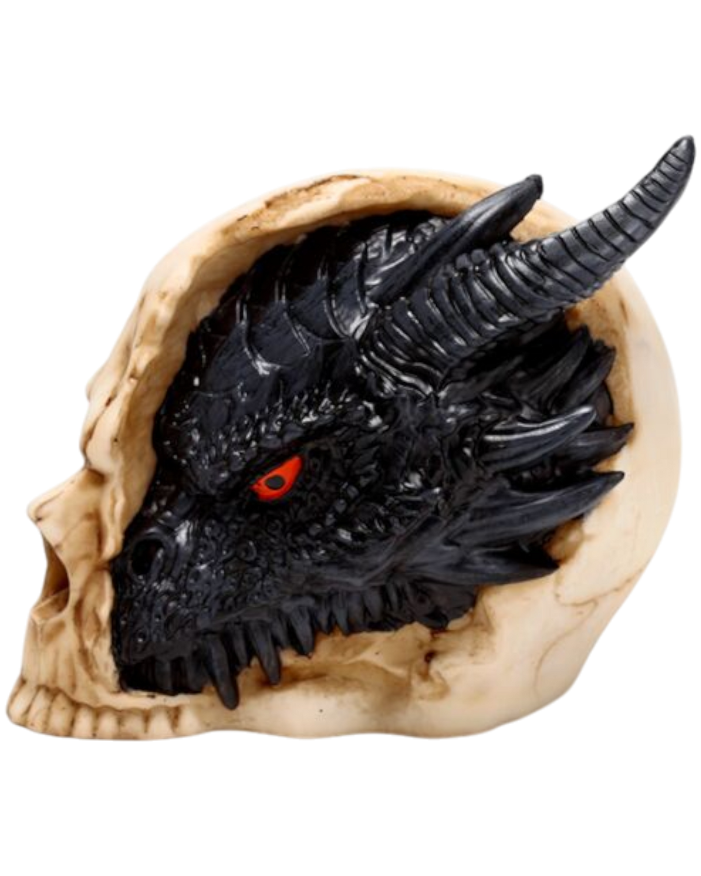 Shadows of Darkness Black Dragon in Skull Large