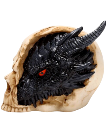 Shadows of Darkness Black Dragon in Skull Large
