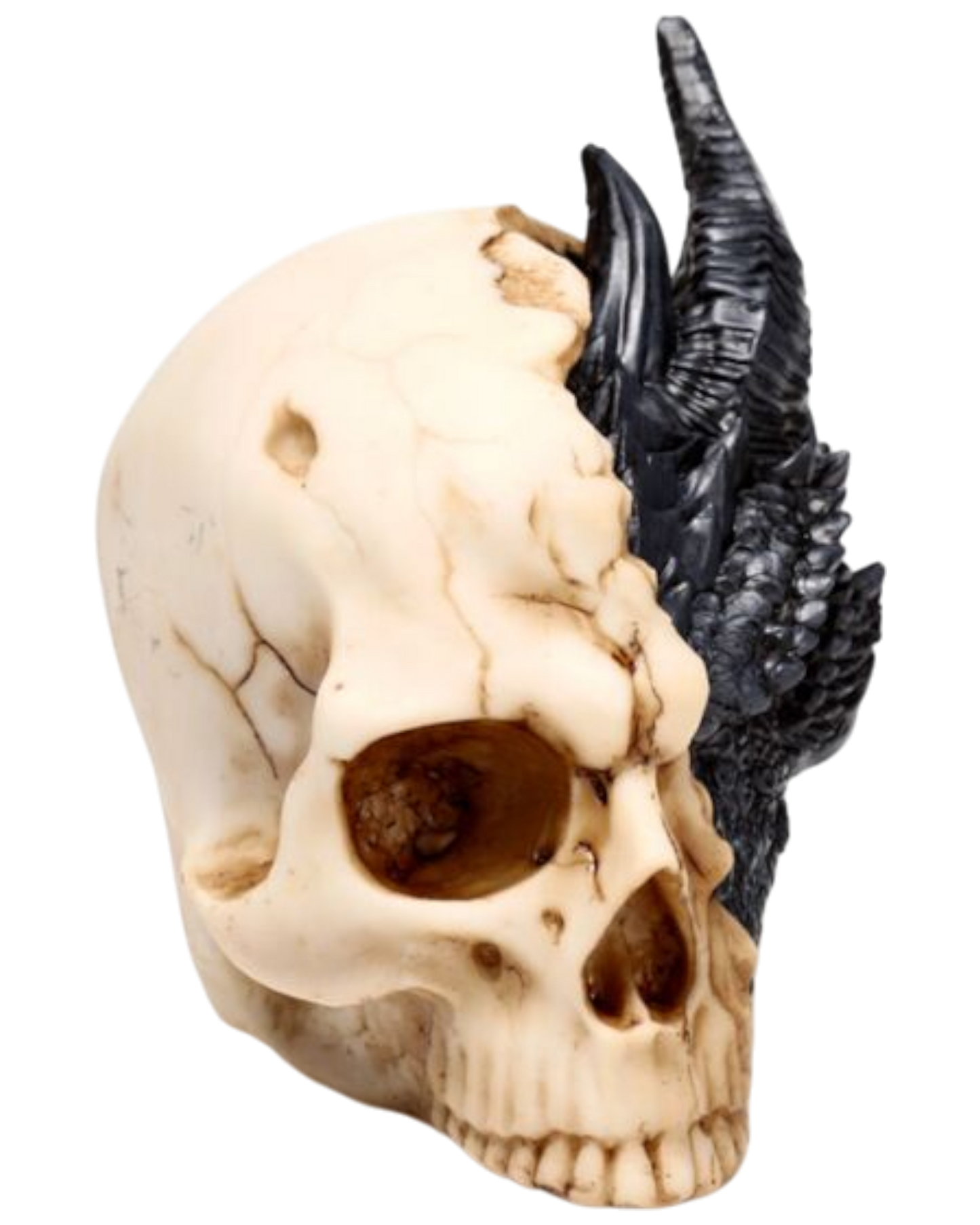Shadows of Darkness Black Dragon in Skull Large