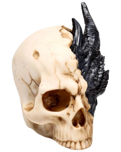 Shadows of Darkness Black Dragon in Skull Large