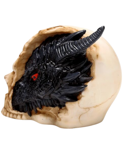 Shadows of Darkness Black Dragon in Skull Large