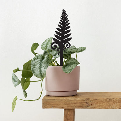 Pot Plant Stake - Fern