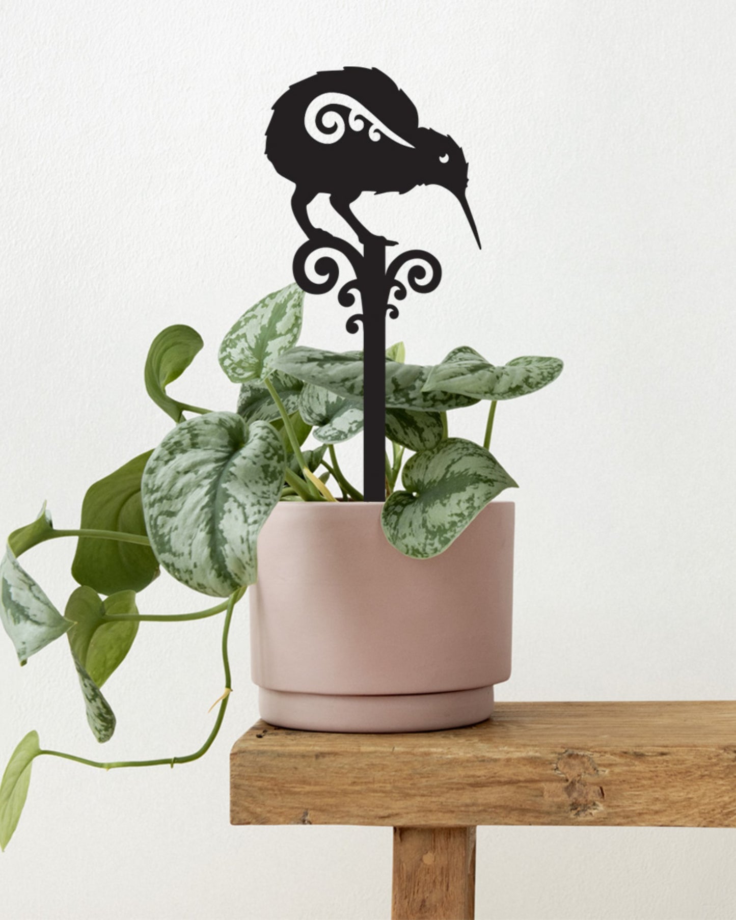 Pot Plant Stake - Kiwi