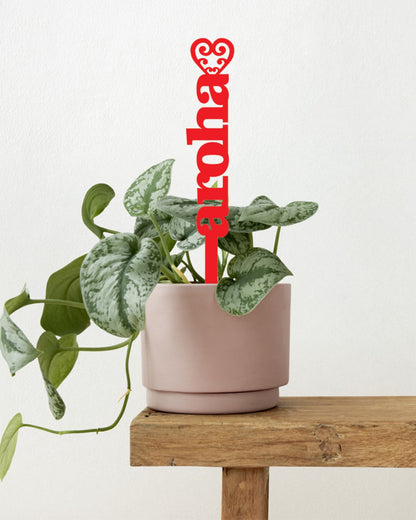 Pot Plant Stake - Aroha