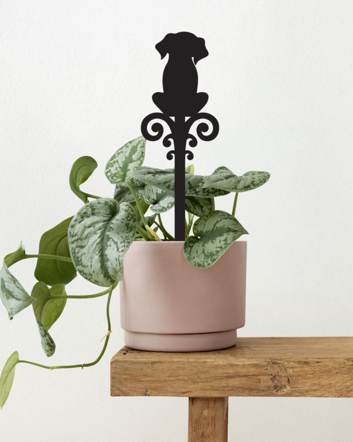 Pot Plant Stake - Dog