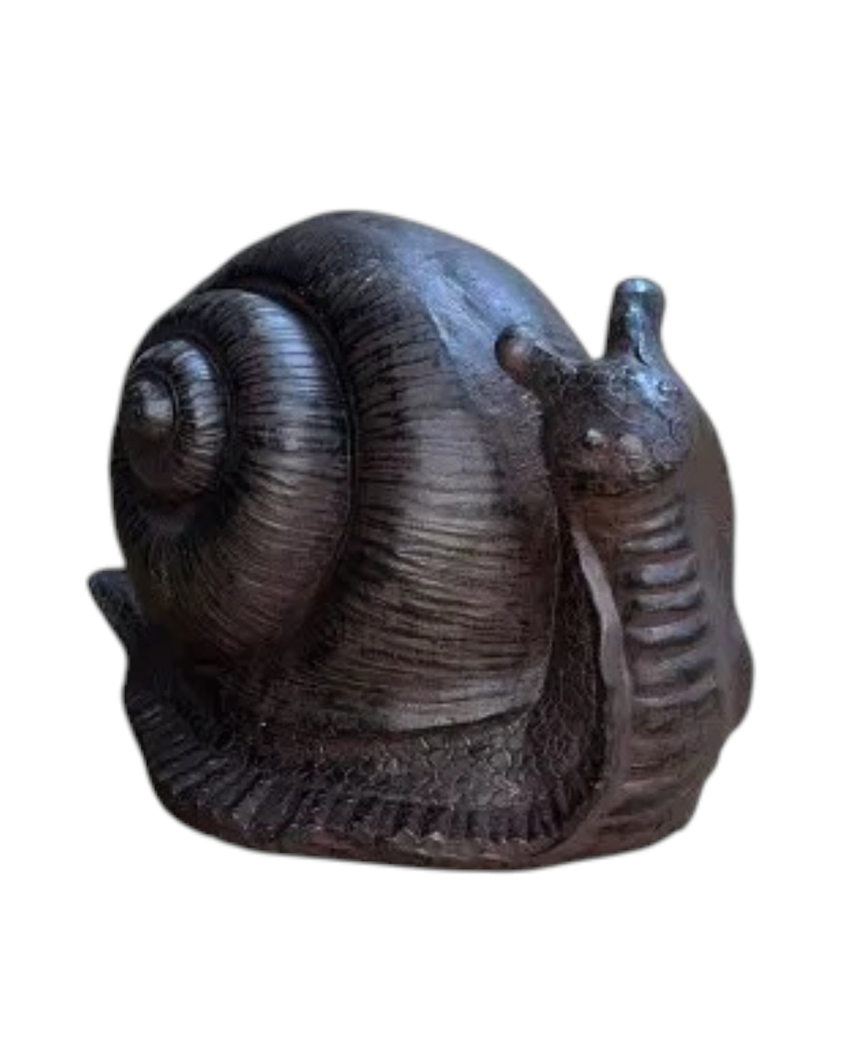 Snail