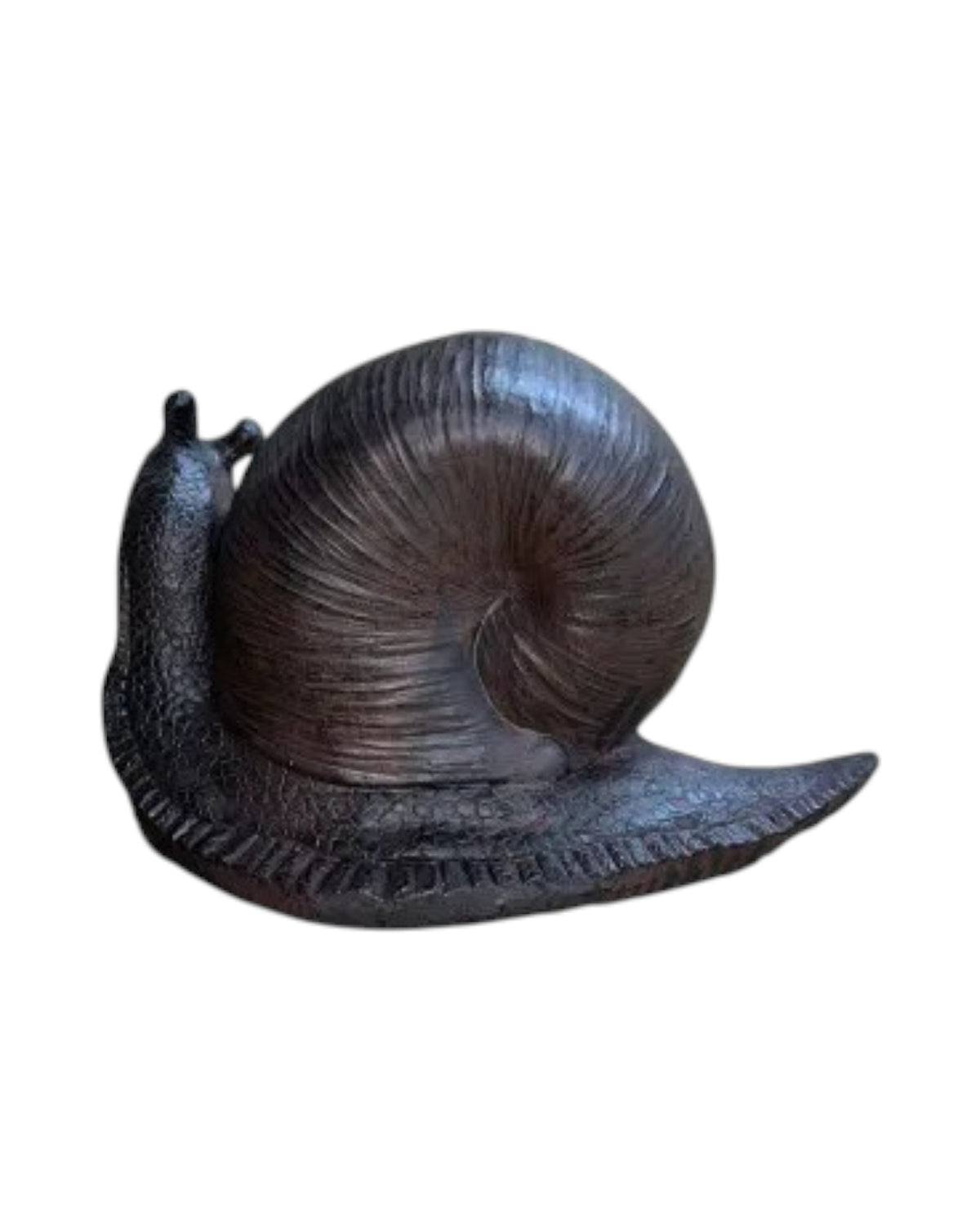 Snail