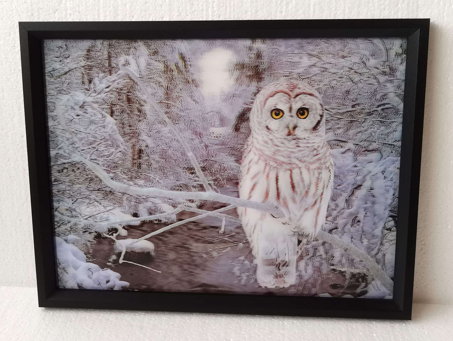 3D Picture Owl