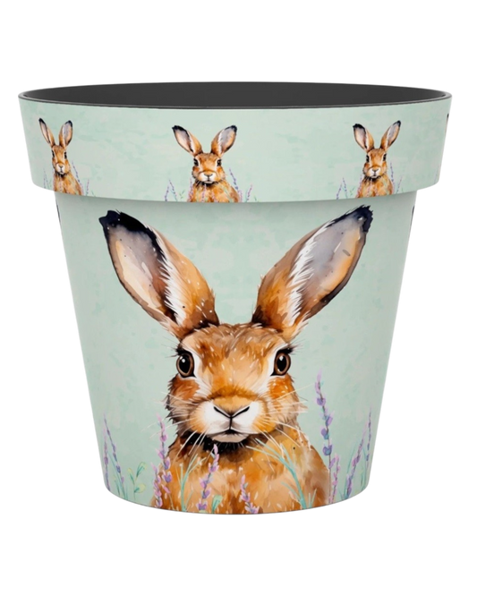Plant Pot - Zest Hare 15cm