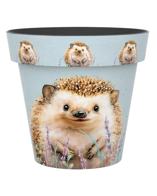 Plant Pot - Zest Hedgehog 15cm