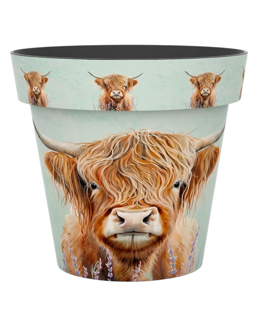 Plant Pot - Zest Highland Cow 22cm