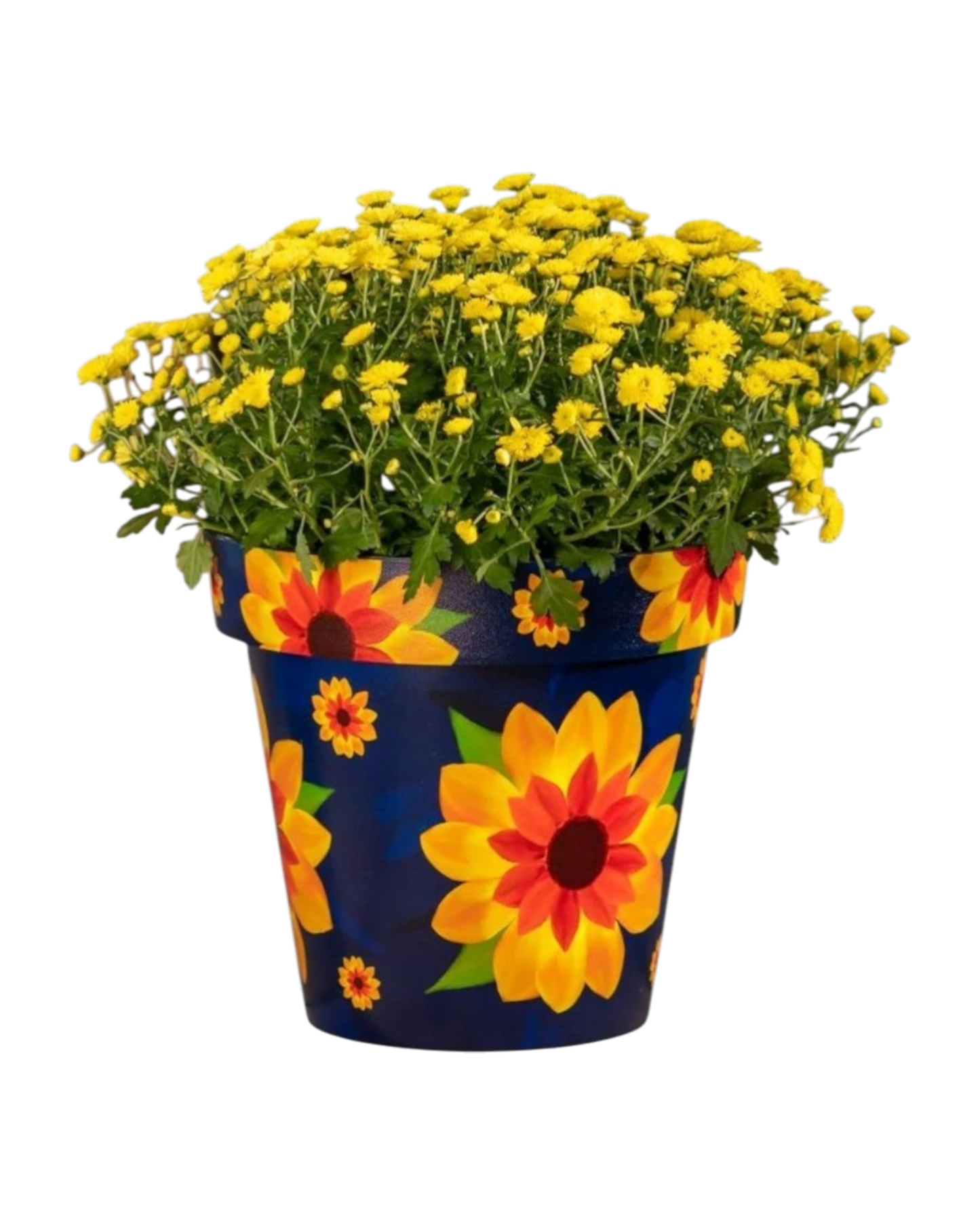 Plant Pot - Zest Sunflower 22cm