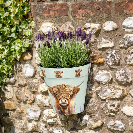 Zest Wall Pot Highland Cow NEW!