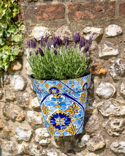 Zest Wall Pot Watercolour Seville