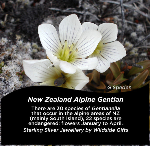 NEW ZEALAND ALPINE GENTIAN FLOWER DROP EARRINGS (STERLING SILVER)