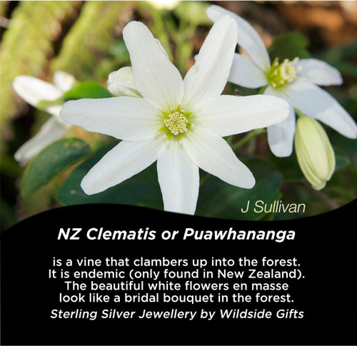 SILVER NZ CLEMATIS DROP EARRINGS