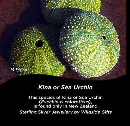 STERLING SILVER KINA SEA URCHIN STUDS