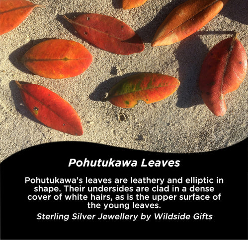 STERLING SILVER POHUTUKAWA LEAVES