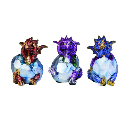 3 Wise Baby Dragons