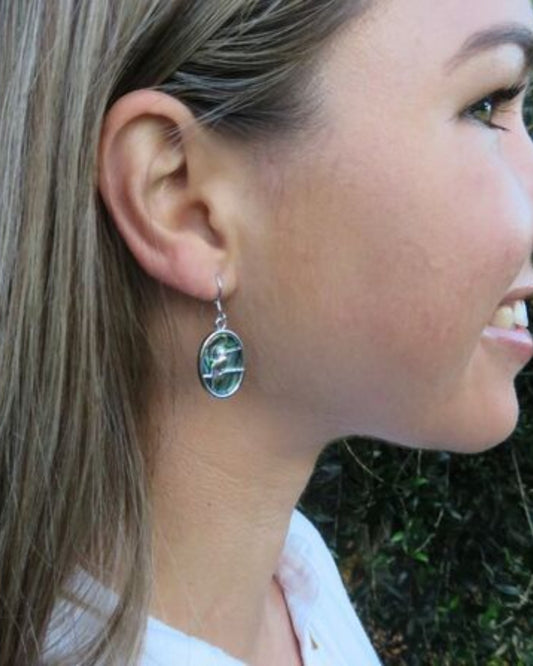 Kingfisher Sterling Silver with NZ Paua Oval Drop Earrings