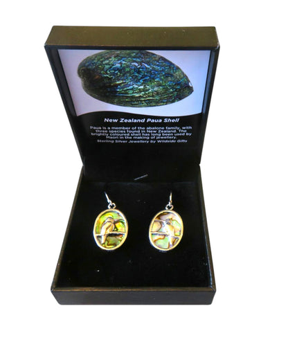 Kingfisher Sterling Silver with NZ Paua Oval Drop Earrings