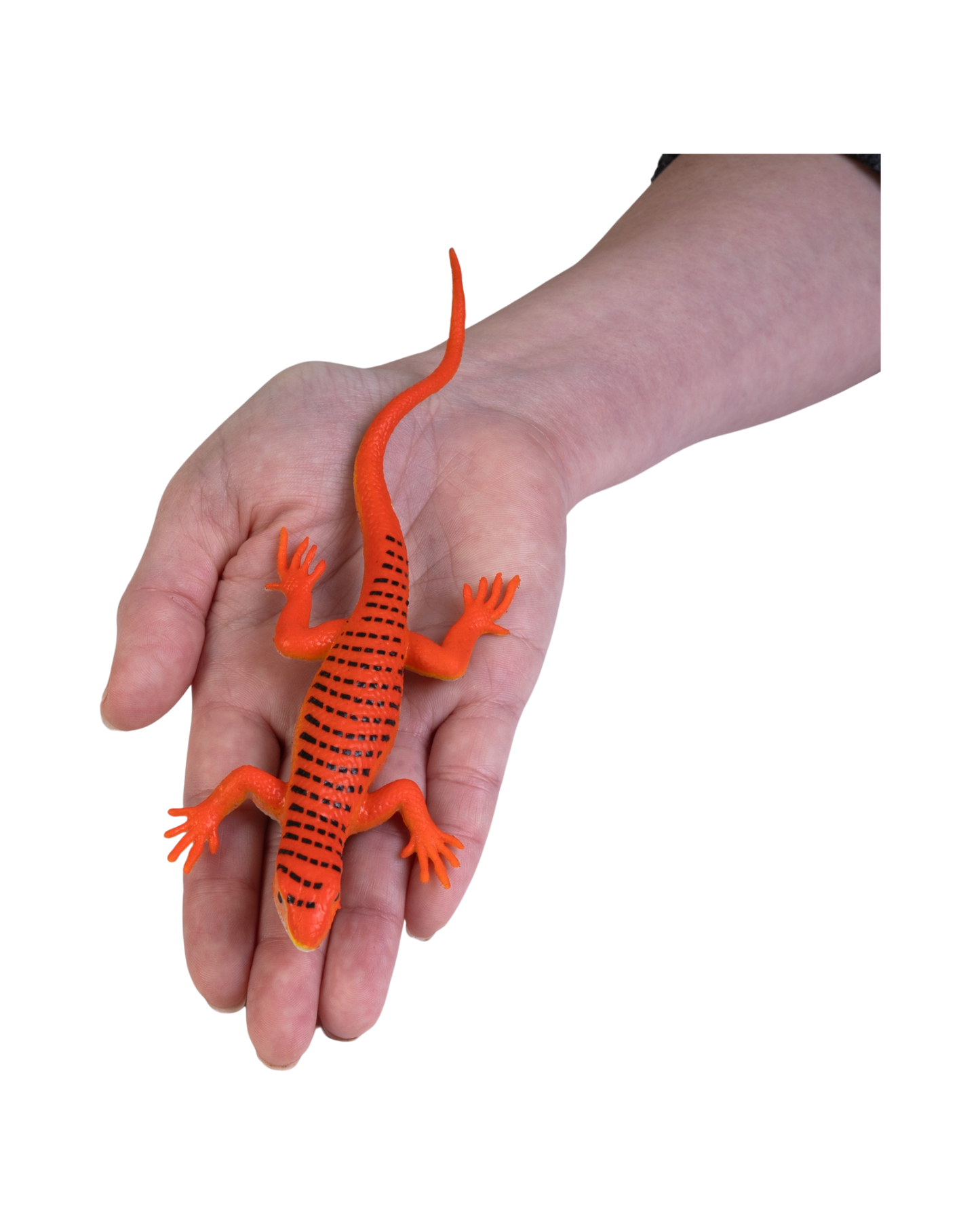 Colour changing 2pcs Lizards
