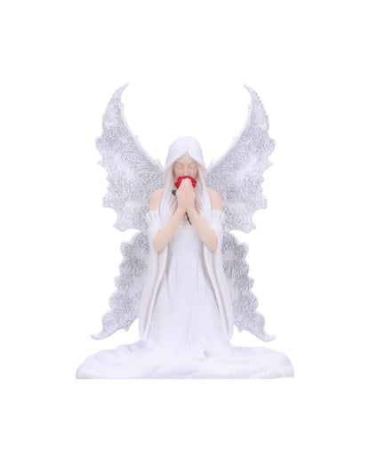 Nemesis Now Anne Stokes Only Love Remains Fairy Figurine Trinket Box