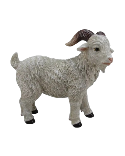 Goatbilly