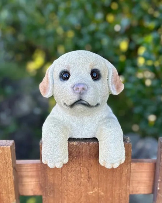 Labrador Large