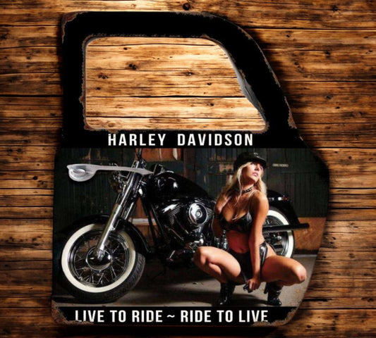 Wall Art Metal Car Door - Live to ride