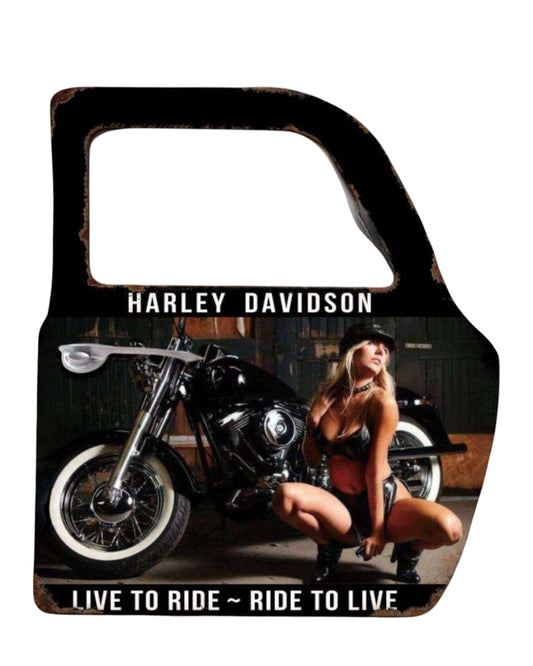 Wall Art Metal Car Door - Live to ride