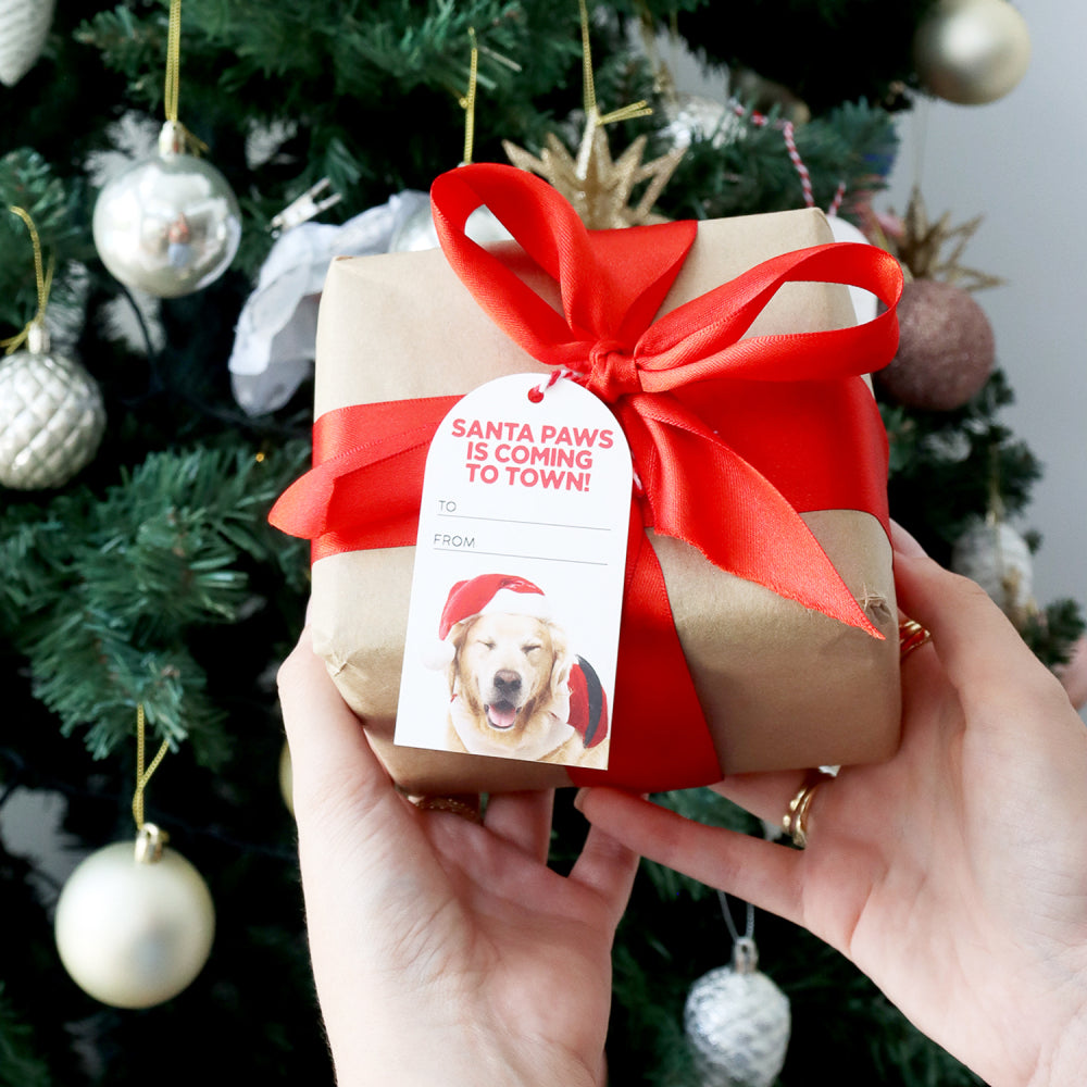 Christmas Gift Tags - Dogs & Cats