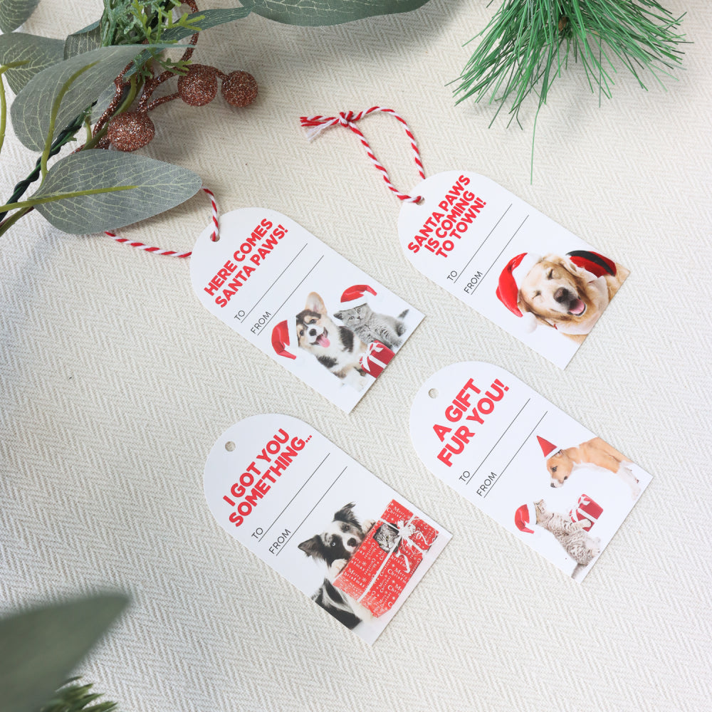 Christmas Gift Tags - Dogs & Cats