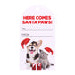 Christmas Gift Tags - Dogs & Cats