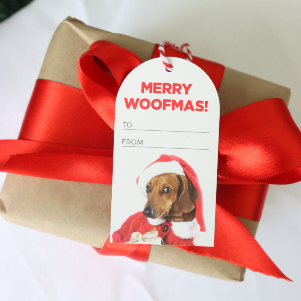 Christmas Gift Tags - Dogs & Cats