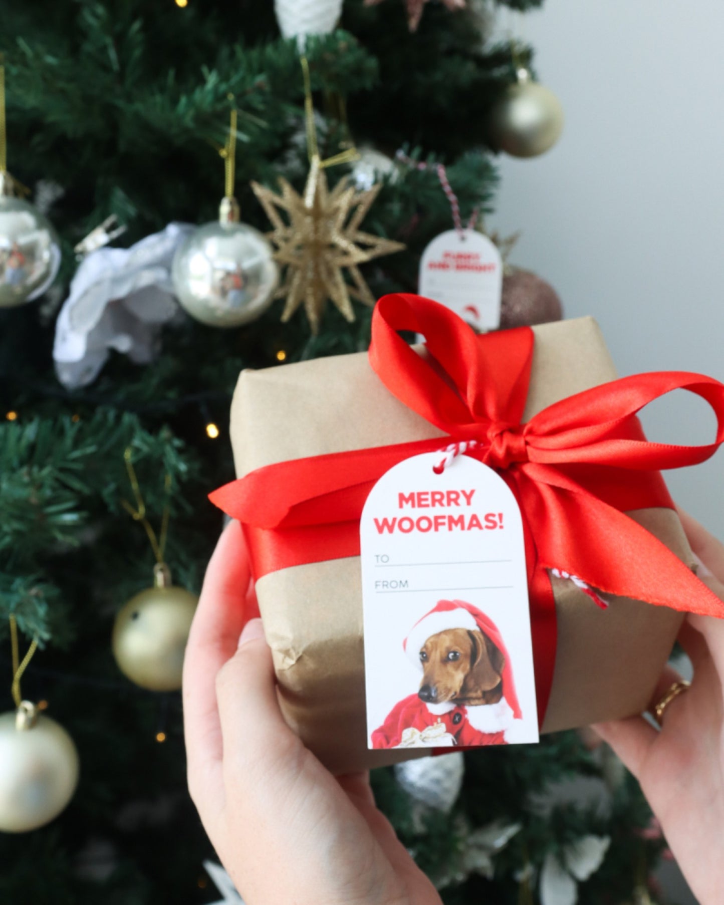 Christmas Gift Tags - Dogs & Cats