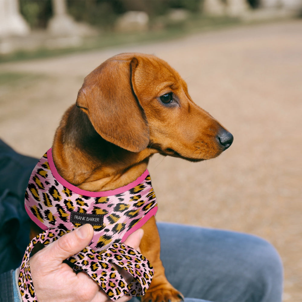 Leopard Harness