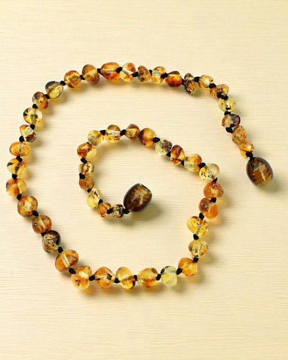 Olive-Circle-11 inch Amber Necklace