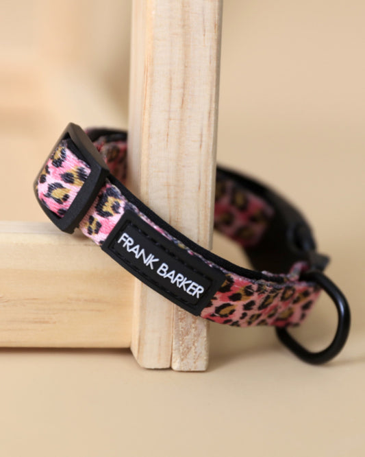 Leopard Collar