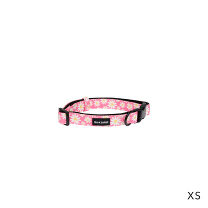 Pink Daisies Collar