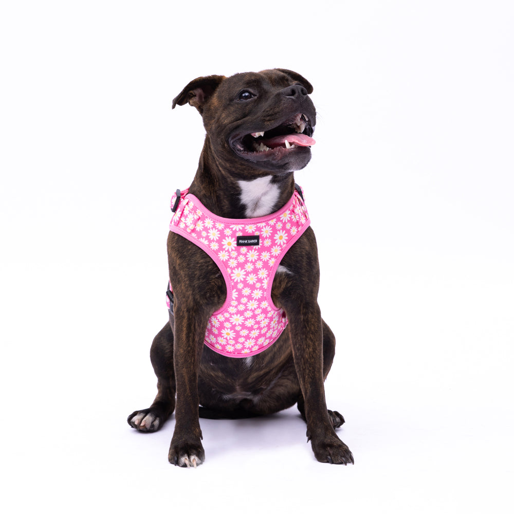 Pink Daisies Harness